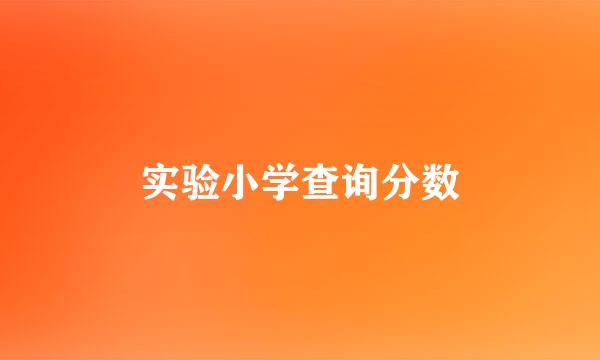 实验小学查询分数