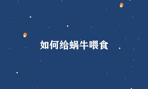如何给蜗牛喂食