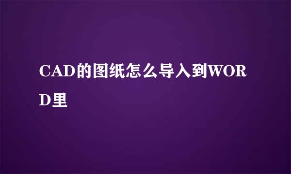 CAD的图纸怎么导入到WORD里