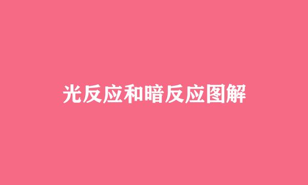 光反应和暗反应图解