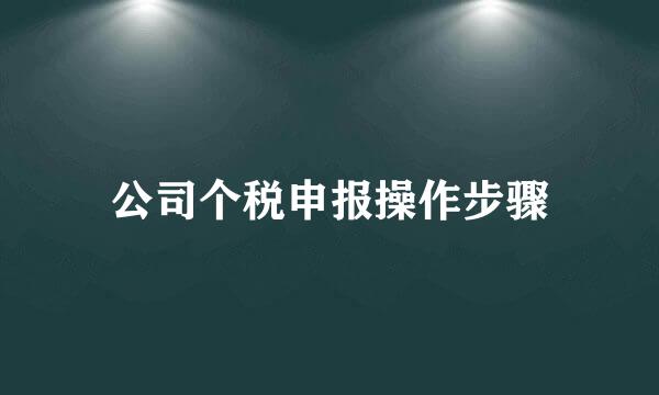公司个税申报操作步骤