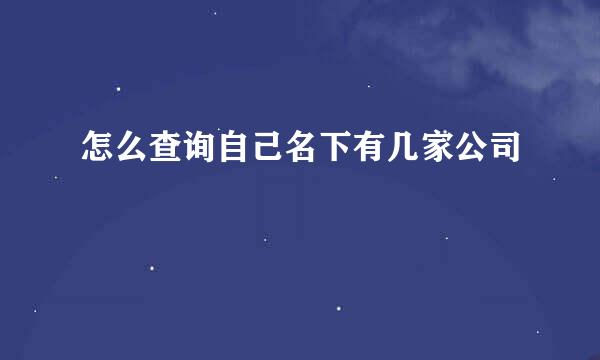怎么查询自己名下有几家公司