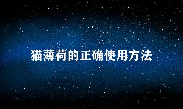 猫薄荷的正确使用方法