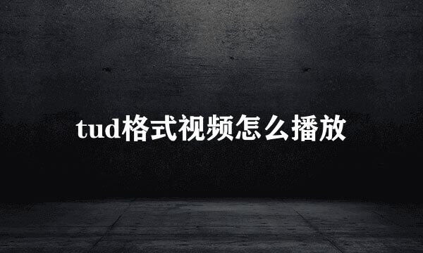tud格式视频怎么播放