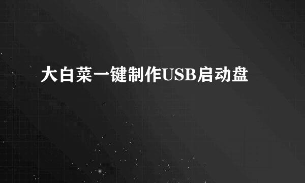 大白菜一键制作USB启动盘