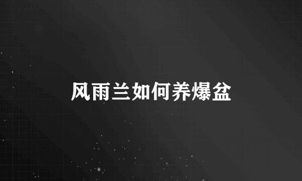风雨兰如何养爆盆