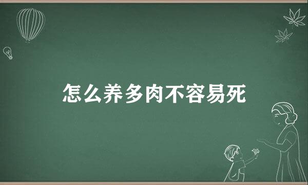 怎么养多肉不容易死