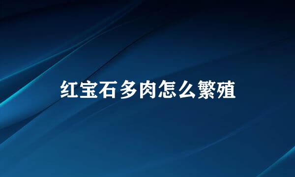 红宝石多肉怎么繁殖