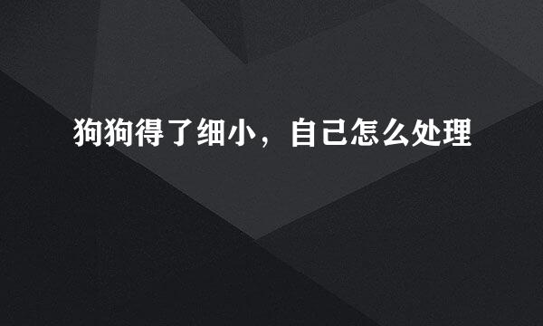 狗狗得了细小，自己怎么处理