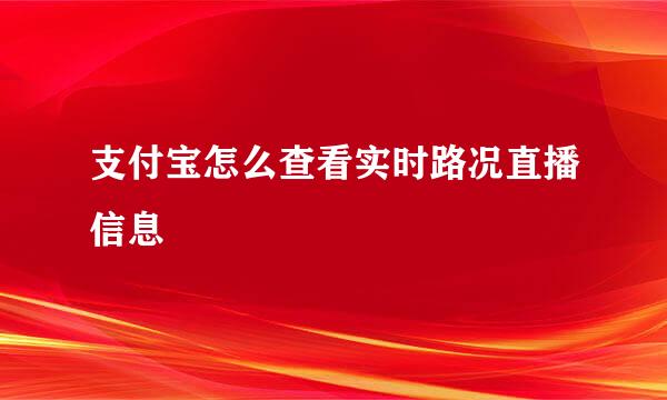 支付宝怎么查看实时路况直播信息