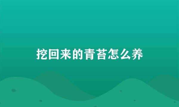 挖回来的青苔怎么养