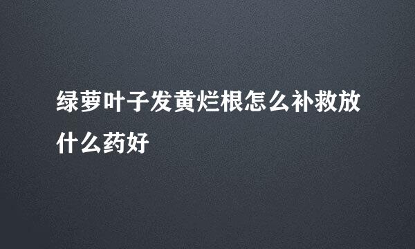 绿萝叶子发黄烂根怎么补救放什么药好