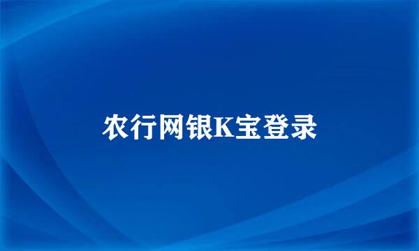 农行网银K宝登录