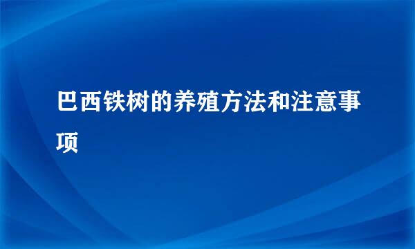 巴西铁树的养殖方法和注意事项