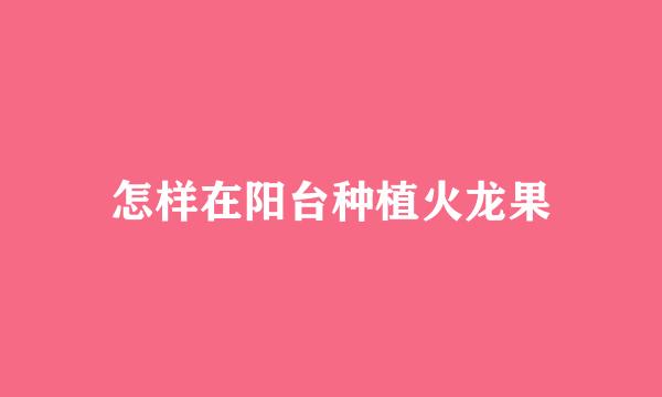 怎样在阳台种植火龙果