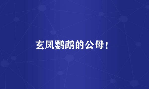 玄凤鹦鹉的公母！