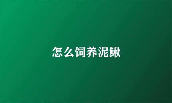 怎么饲养泥鳅