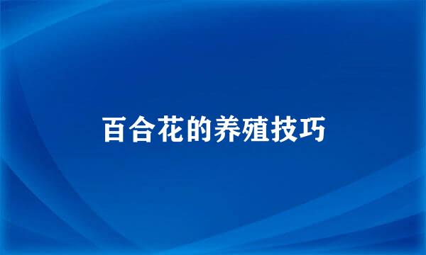 百合花的养殖技巧