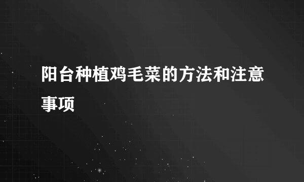 阳台种植鸡毛菜的方法和注意事项