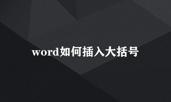 word如何插入大括号