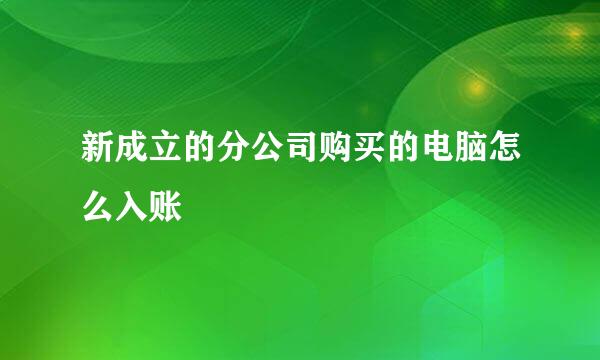 新成立的分公司购买的电脑怎么入账