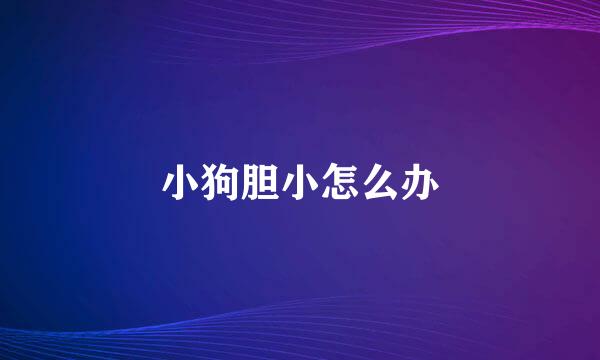 小狗胆小怎么办