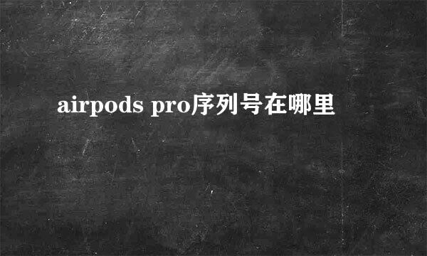 airpods pro序列号在哪里