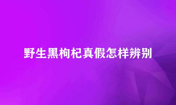 野生黑枸杞真假怎样辨别