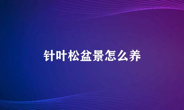 针叶松盆景怎么养