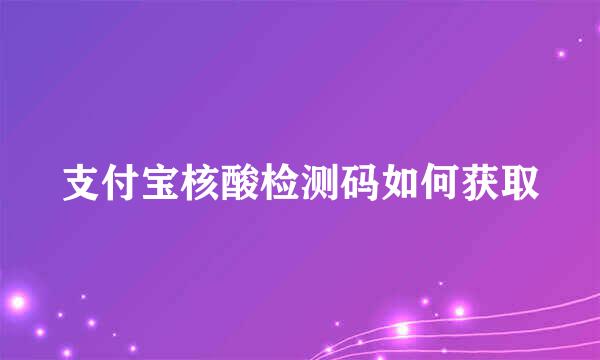 支付宝核酸检测码如何获取