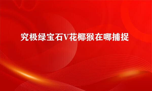 究极绿宝石V花椰猴在哪捕捉