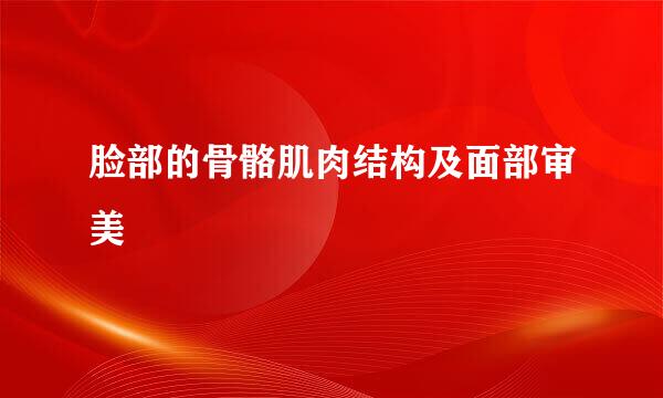 脸部的骨骼肌肉结构及面部审美