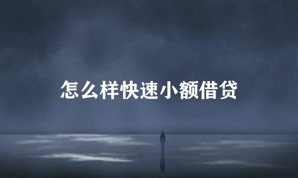 怎么样快速小额借贷