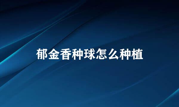 郁金香种球怎么种植