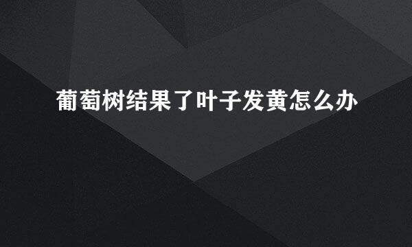葡萄树结果了叶子发黄怎么办