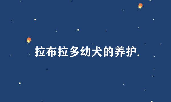 拉布拉多幼犬的养护