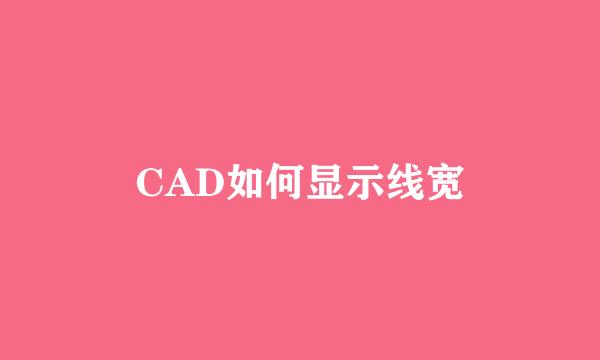 CAD如何显示线宽