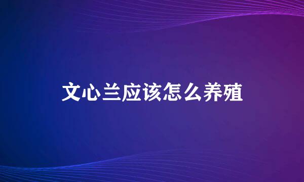 文心兰应该怎么养殖