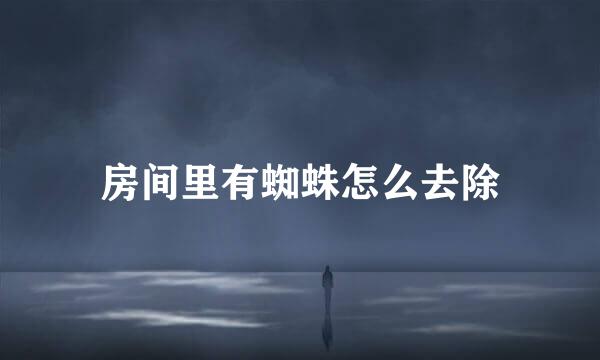 房间里有蜘蛛怎么去除