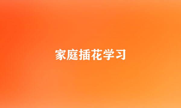 家庭插花学习