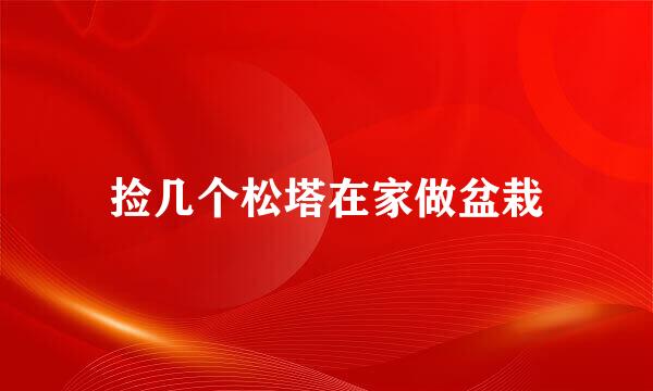 捡几个松塔在家做盆栽