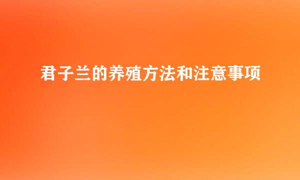 君子兰的养殖方法和注意事项