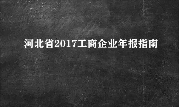河北省2017工商企业年报指南
