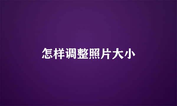 怎样调整照片大小