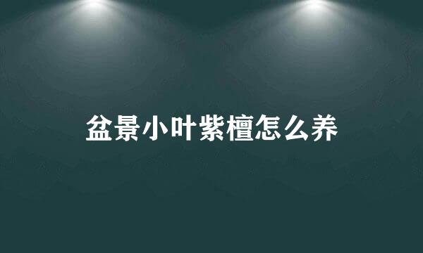 盆景小叶紫檀怎么养
