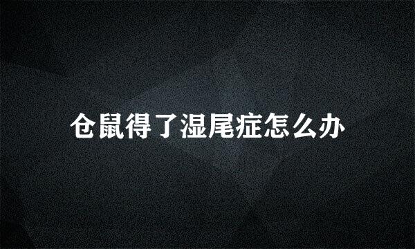 仓鼠得了湿尾症怎么办