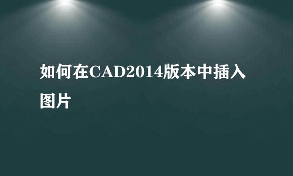 如何在CAD2014版本中插入图片