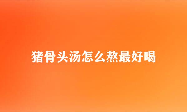 猪骨头汤怎么熬最好喝