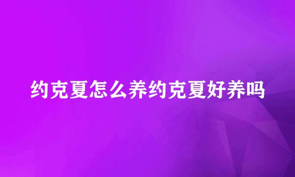 约克夏怎么养约克夏好养吗