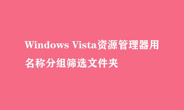 Windows Vista资源管理器用名称分组筛选文件夹